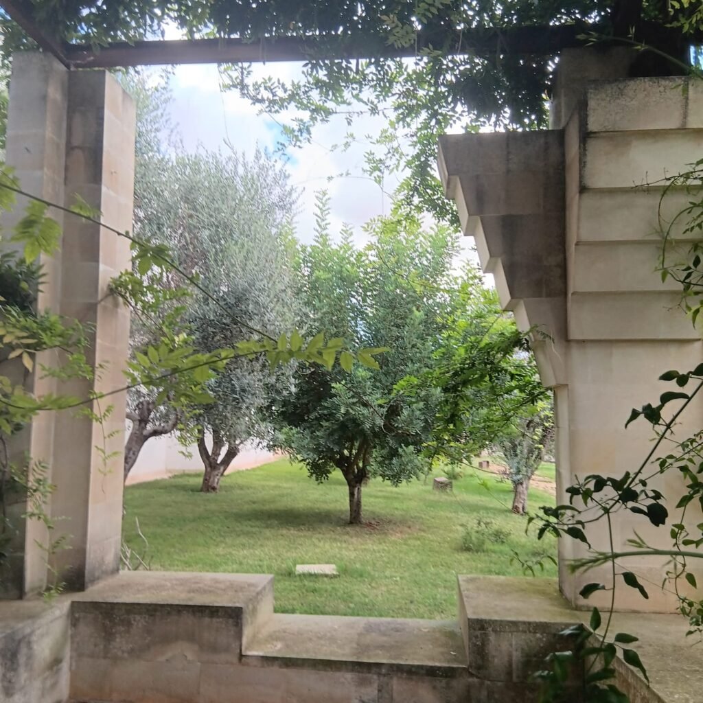 SaporiNews-MASSERIA-SECOLARIO-1-1024x1024 Il Ristorante Volìvo: un viaggio sensoriale tra orto, ulivo e vigne nel cuore del Salento