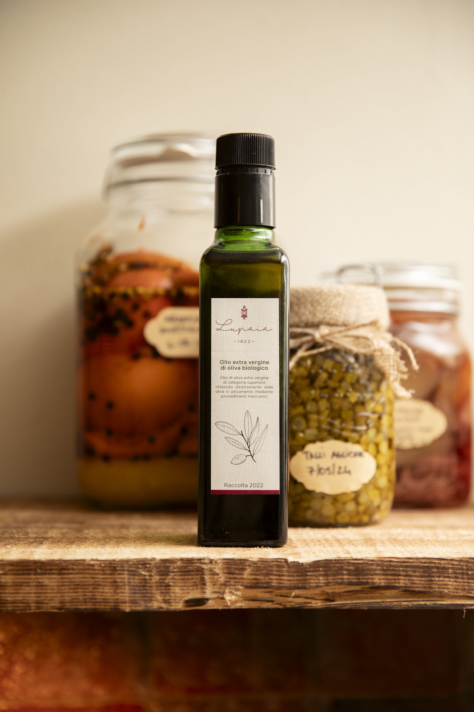 Olio toscano: a Lupaia un percorso per scoprire l’oro verde delle colline - Sapori News 