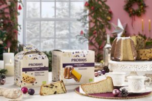 Il Pandolce Natale Vegan Probios è 100% vegetale, biologico e senza lattosio. Gusto sano e autentico per un Natale più consapevole.