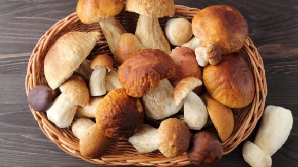 SaporiNews-al-via-dall8-novembre-sapori-dautunno3-580x326 SaporiNews - al via dall'8 novembre “sapori d’autunno3