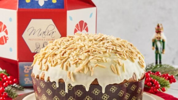 Progetto-senza-titolo-2025-12-02T214027.478-580x326 