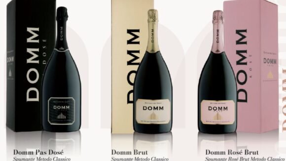 Progetto-senza-titolo-2025-12-07T122951.309-580x326 