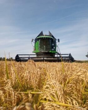 il-taglio-t-1280x720-6-280x350 il-taglio-t-1280x720-6