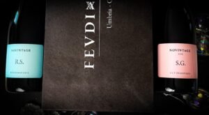 saporinews Feudi Spada