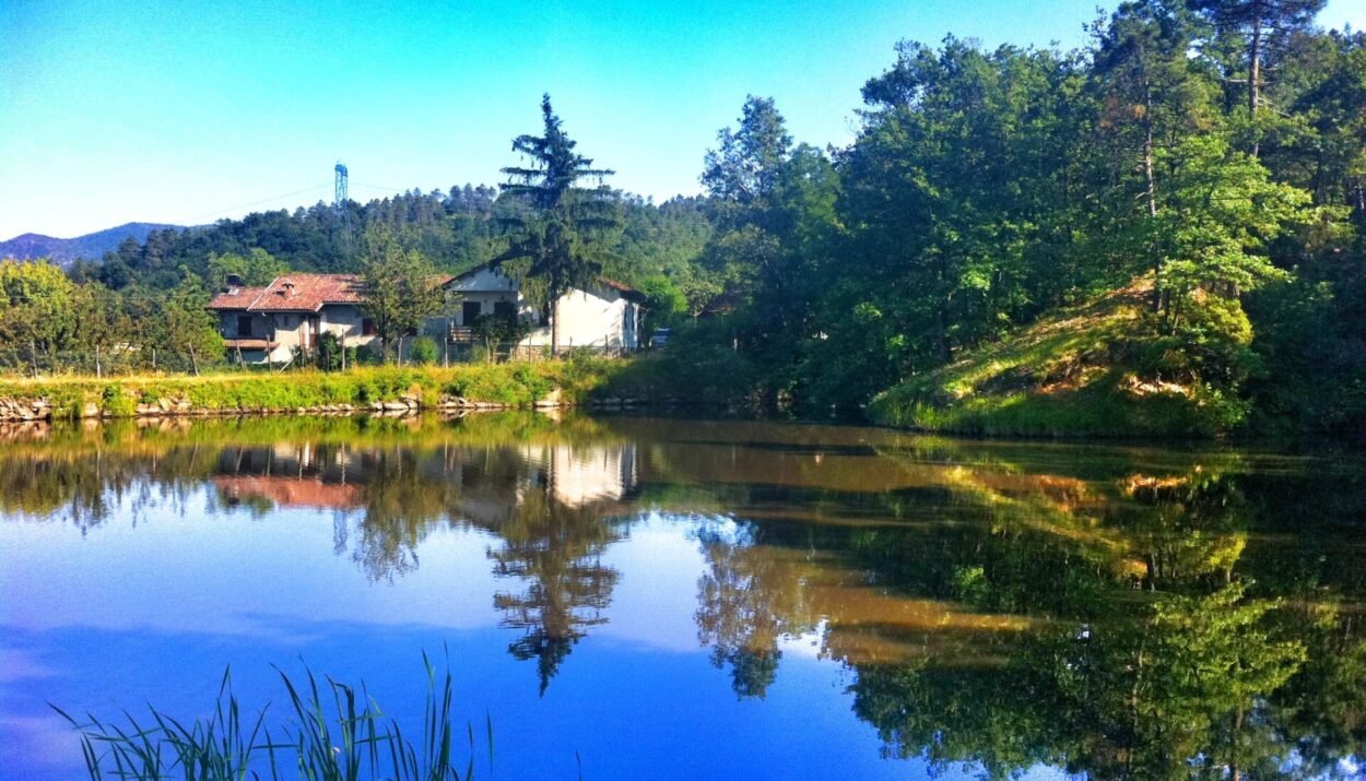 Scopri La Chiarella: azienda agricola bio in Piemonte, filiera corta e prodotti genuini. Ordina online e assapora la qualità! Saporinews