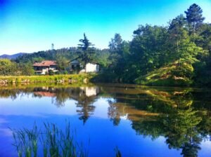 Scopri La Chiarella: azienda agricola bio in Piemonte, filiera corta e prodotti genuini. Ordina online e assapora la qualità! Saporinews