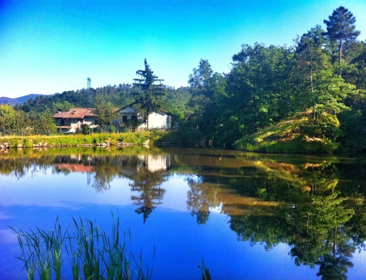 Scopri La Chiarella: azienda agricola bio in Piemonte, filiera corta e prodotti genuini. Ordina online e assapora la qualità! Saporinews