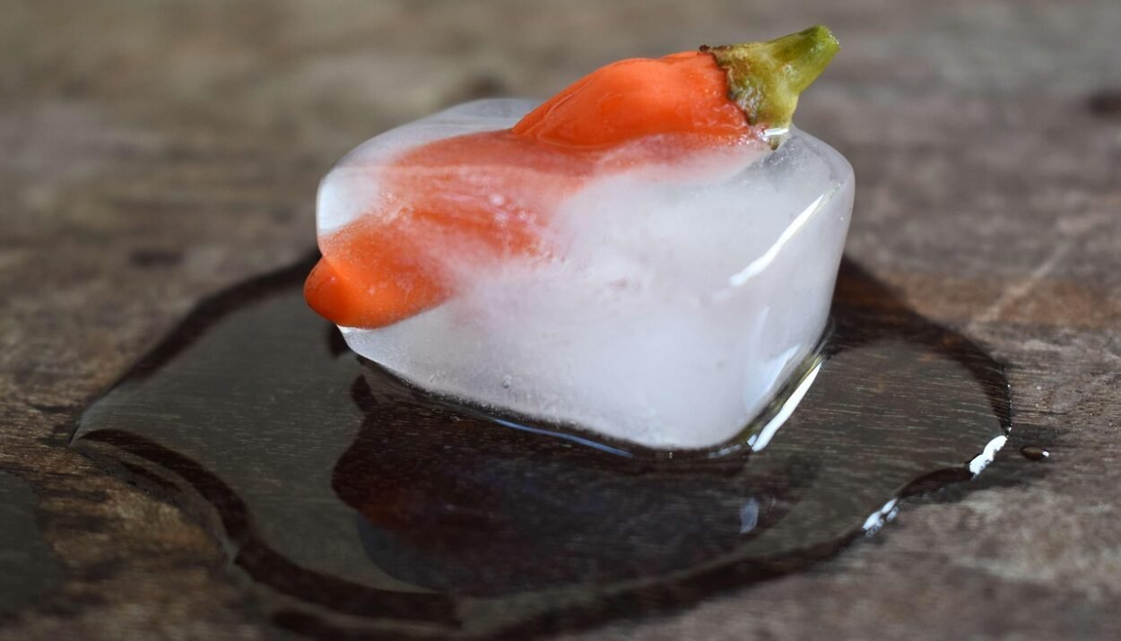 Surgelati gourmet sempre più richiesti: qualità artigianale, gusto autentico e zero sprechi. La soluzione perfetta per ogni giorno. - Saporinews