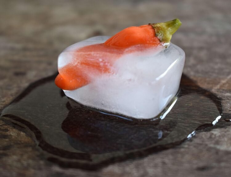 Surgelati gourmet sempre più richiesti: qualità artigianale, gusto autentico e zero sprechi. La soluzione perfetta per ogni giorno. - Saporinews