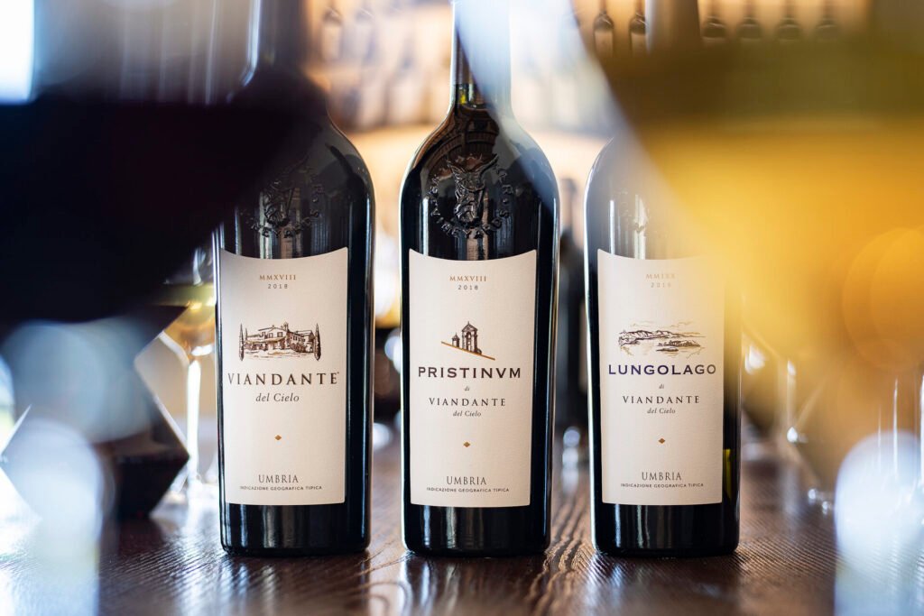 DSC3519-1024x683 Cantina Viandante del Cielo: eccellenza biologica tra le terrazze del lago Trasimeno