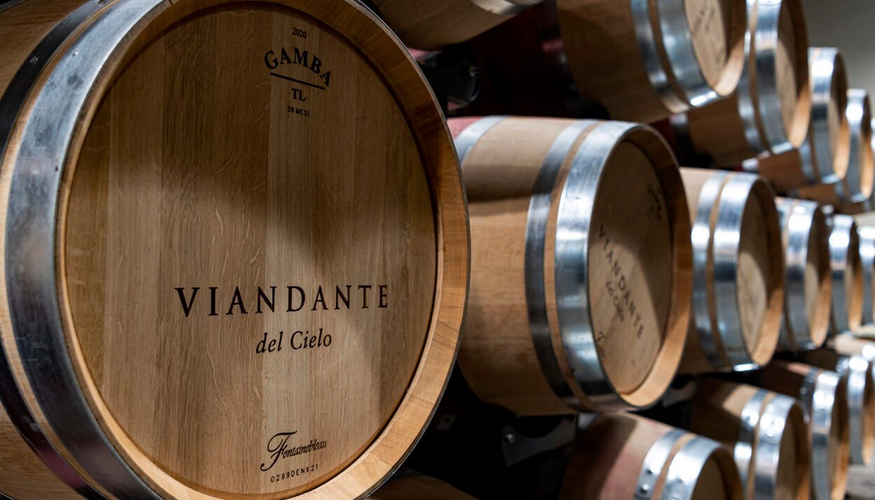 Cantina Viandante del Cielo: eccellenza tra le terrazze del lago Trasimeno