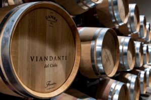 Cantina Viandante del Cielo: eccellenza tra le terrazze del lago Trasimeno