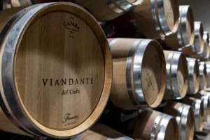 Cantina Viandante del Cielo: eccellenza tra le terrazze del lago Trasimeno