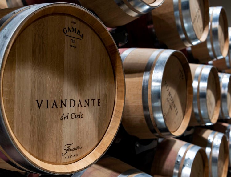 Cantina Viandante del Cielo: eccellenza tra le terrazze del lago Trasimeno