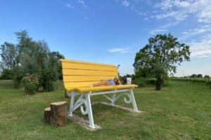 saporinews Stajnbech