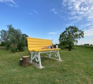 saporinews Stajnbech