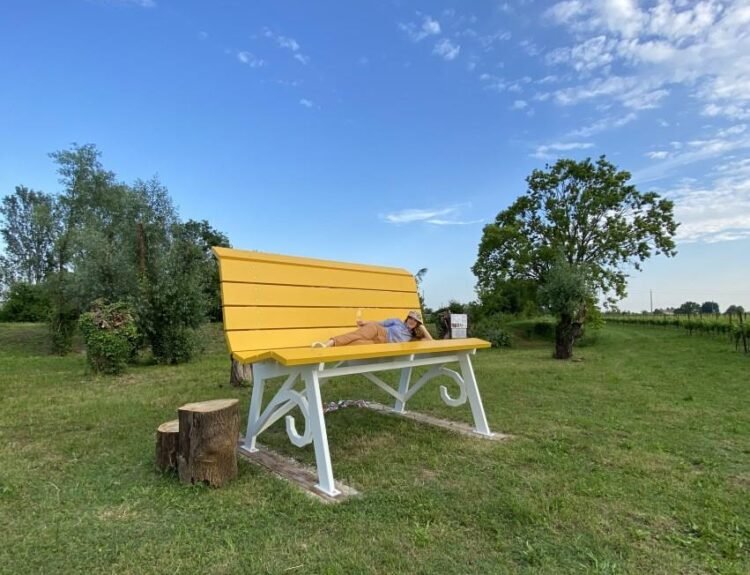 saporinews Stajnbech