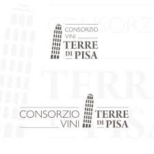 download-1 Terre di Pisa, l’anima nascosta del vino toscano tra mare, colline e fossili millenari