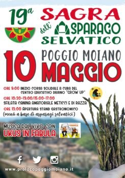 Sagra-Asparago-Poggio-Moiano-10-maggio--245x350 Poggio Moiano celebra la primavera: il 10 maggio torna la 19° Sagra dell’Asparago tra gusto, solidarietà e festa Fuoriporta