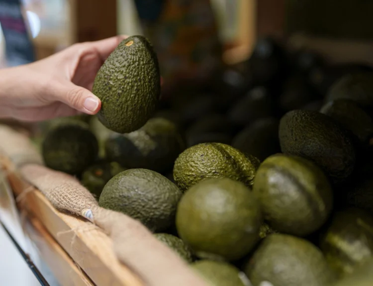 Avocado europei: parte la nuova campagna per l’Italia