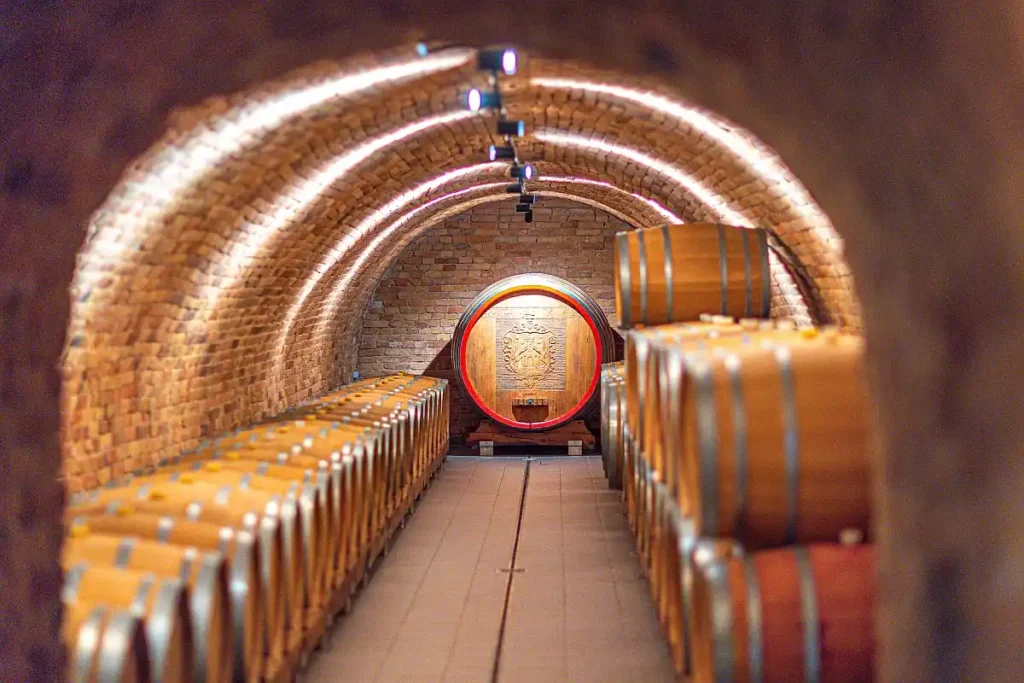 Foto-Kristijan-Toplak-1-1024x683 Slavonia: saporiti piatti tipici e ottimi vini assolutamente da provare!
