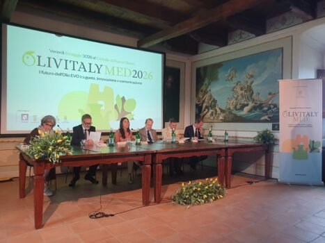 OLIVITALYMED2026-nel-fiabesco-Castello-di-Rocca-Cilento-467x350 OLIVITALYMED2026 nel fiabesco Castello di Rocca Cilento
