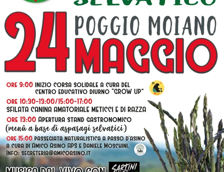 Poggio Moiano (RI): il 24 maggio è 19° Sagra dell’Asparago selvatico