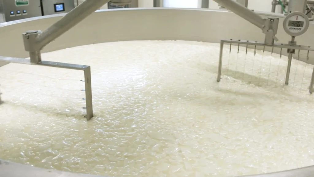 Il-latte-e-il-vero-protagonista-di-Egelato--1024x579 Ègelato: nasce il gelato di Filiera Bianca con il latte di Cirio Agricola