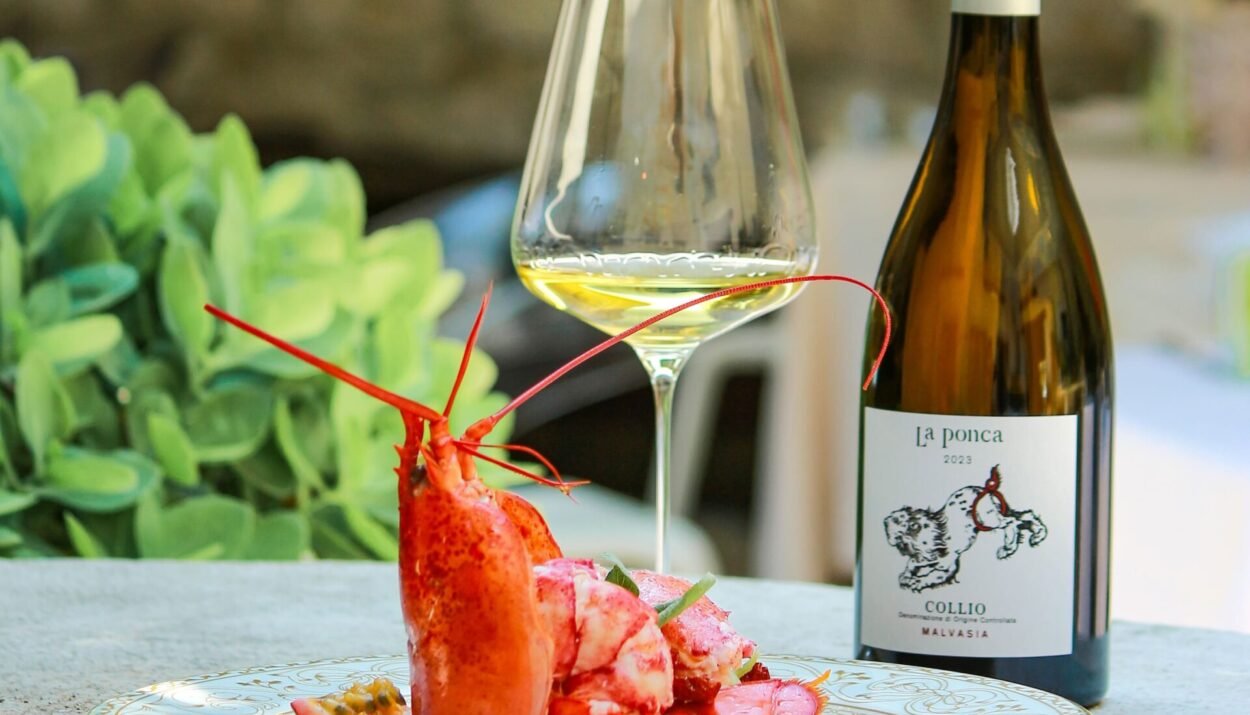 saporinews Malvasia
