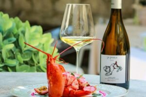 saporinews Malvasia