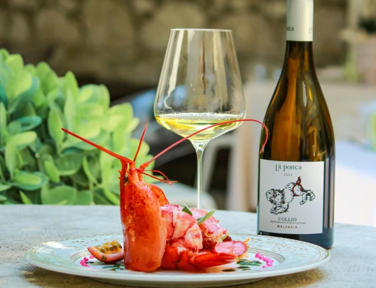 saporinews Malvasia