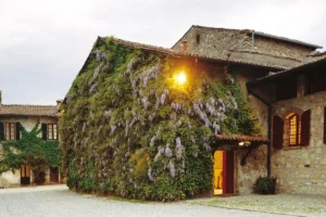 Degustazioni ed eventi: ecco l'estate di Freccianera