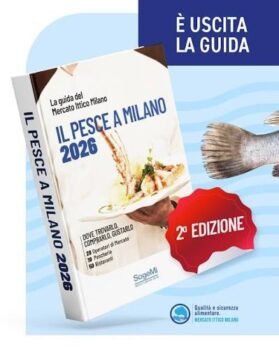 images-279x350 Il Pesce a Milano: la nuova guida enogastronomica 2026