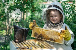 Andar per miele: sagre feste e fiere nelle regioni italiane da luglio a dicembre