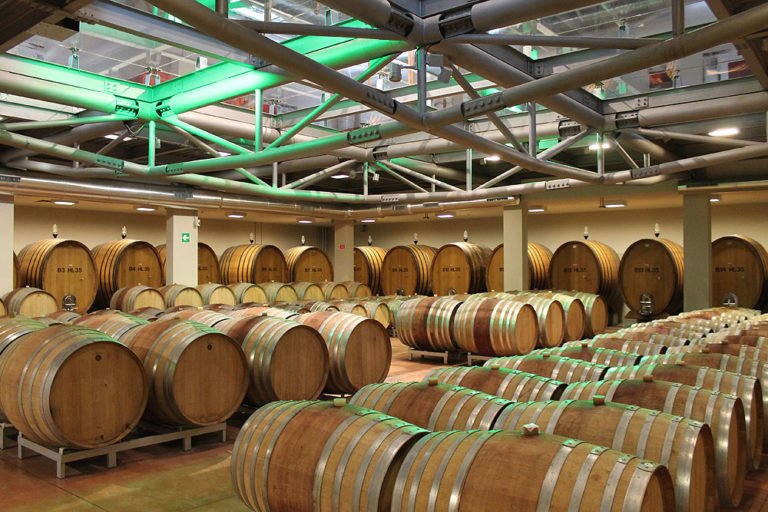 Icario-Cantina Le Notti del Vino a Montepulciano: le sere d'estate in cantina