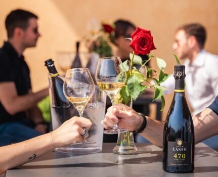 TOMMASI-WINE-HOSPITALITY-10-431x350 TOMMASI WINE HOSPITALITY 10