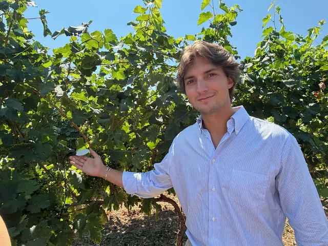 Villa Sandi rivoluziona la viticoltura con l’IA