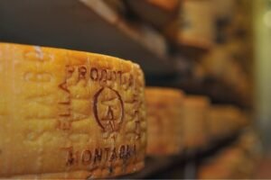 Asiago DOP Prodotto della Montagna, vent’anni di crescita