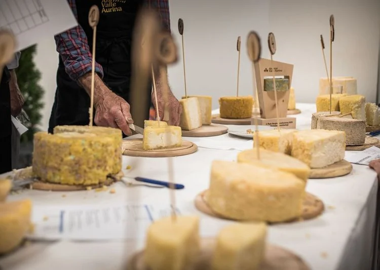 Giornate del Graukäse 2026: il formaggio più antico delle Alpi torna protagonista in Valle Aurina