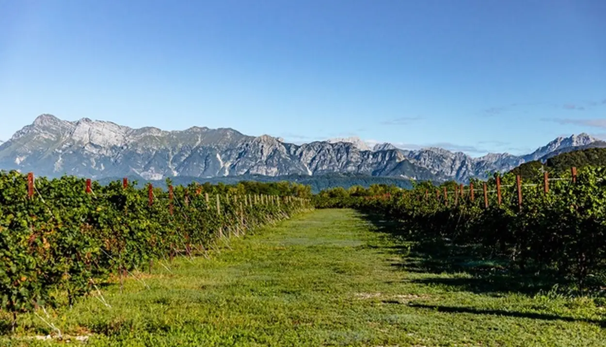 Bosco del Merlo presenta il Bilancio di Sostenibilità 2025