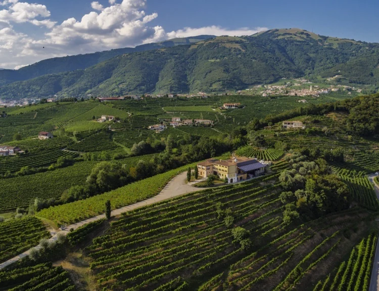 Canevel compie 10 anni: crescita e spumanti premium