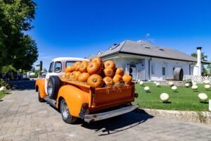 saporinews Il Giardino delle Zucche
