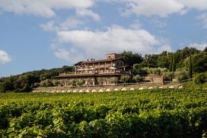 saporinews Franciacorta
