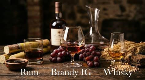 saporinews Brandy Italiano
