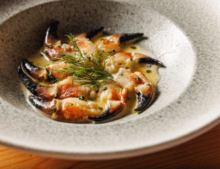 saporinews salmone irlandese