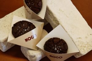 saporinews Mogo