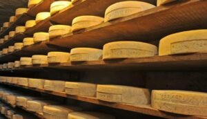 Valtellina, ricerca e innovazione per i formaggi Casera e Bitto