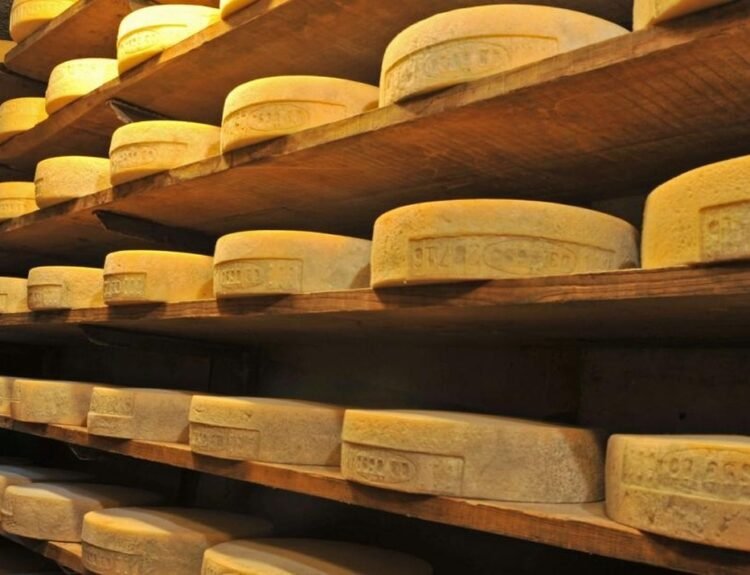 Valtellina, ricerca e innovazione per i formaggi Casera e Bitto