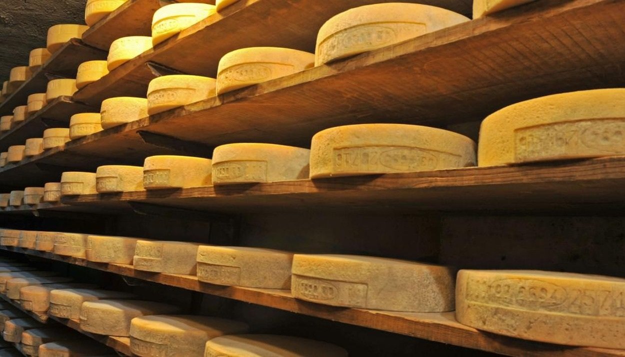Valtellina, ricerca e innovazione per i formaggi Casera e Bitto