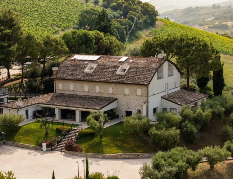 Colle Serrano conquista la Guida Michelin: il Piceno sorprende a tavola